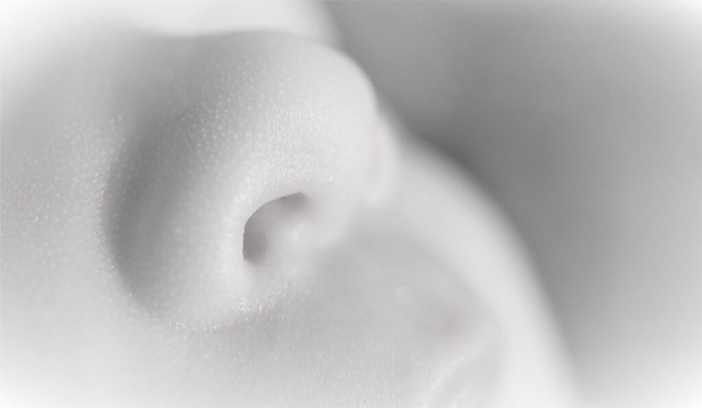 nose, infant, hd wallpaper-4772718.jpg